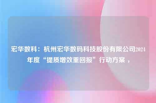 宏华数科：杭州宏华数码科技股份有限公司2024年度“提质增效重回报”行动方案 ，